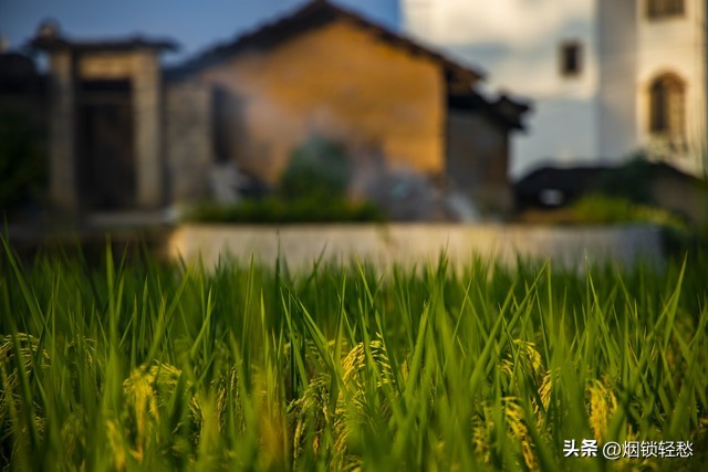 头条文章怎么写出百万爆款,头条写文章怎样才容易爆款