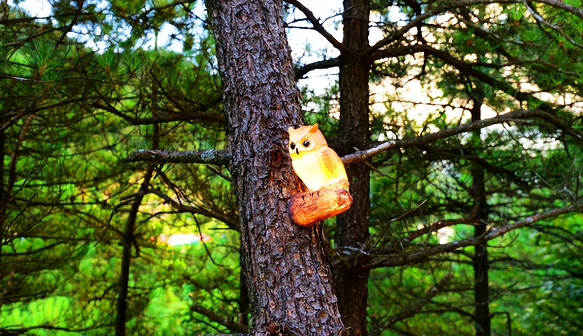 羊狮慕与张家界哪个好,江西明月山和羊狮慕哪个更值得去