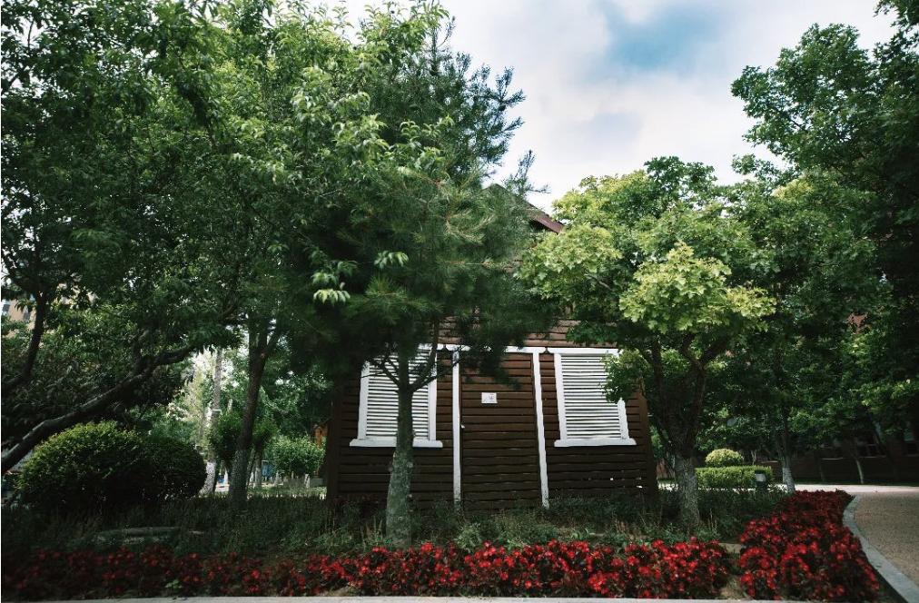 经开区公立学校教师招聘名额,北京经开区招聘教师