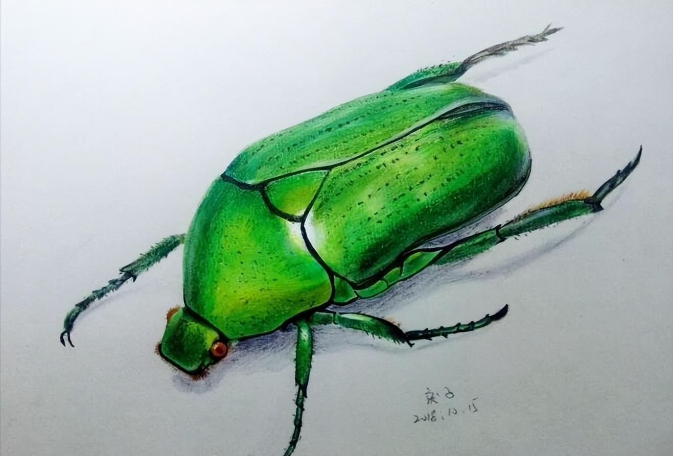 自学画画多久能画人像,自学画画最快几个月能工作