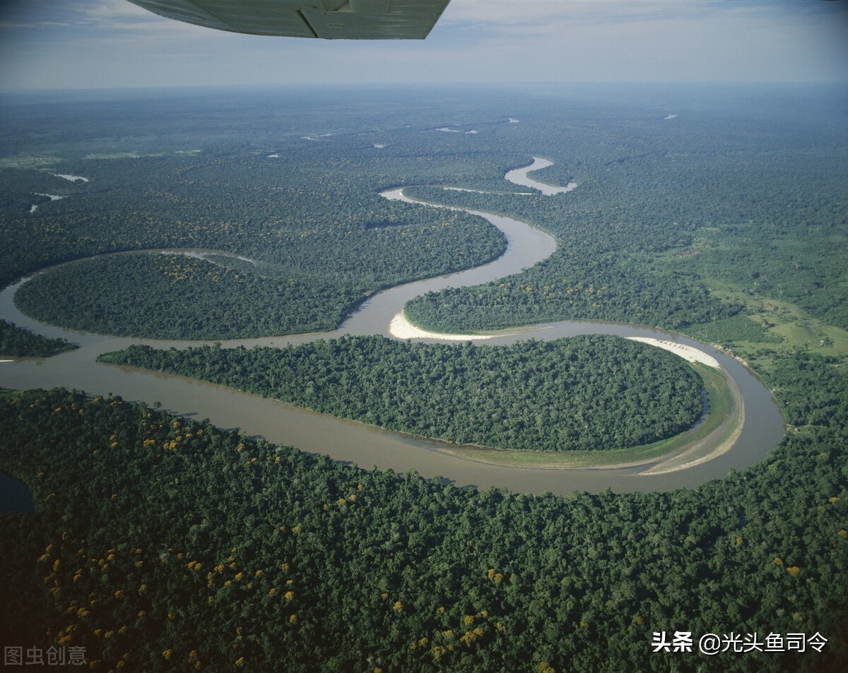 它活了上亿年，把食人鱼当“点心”，菜刀砍不动，为何败给棒槌？