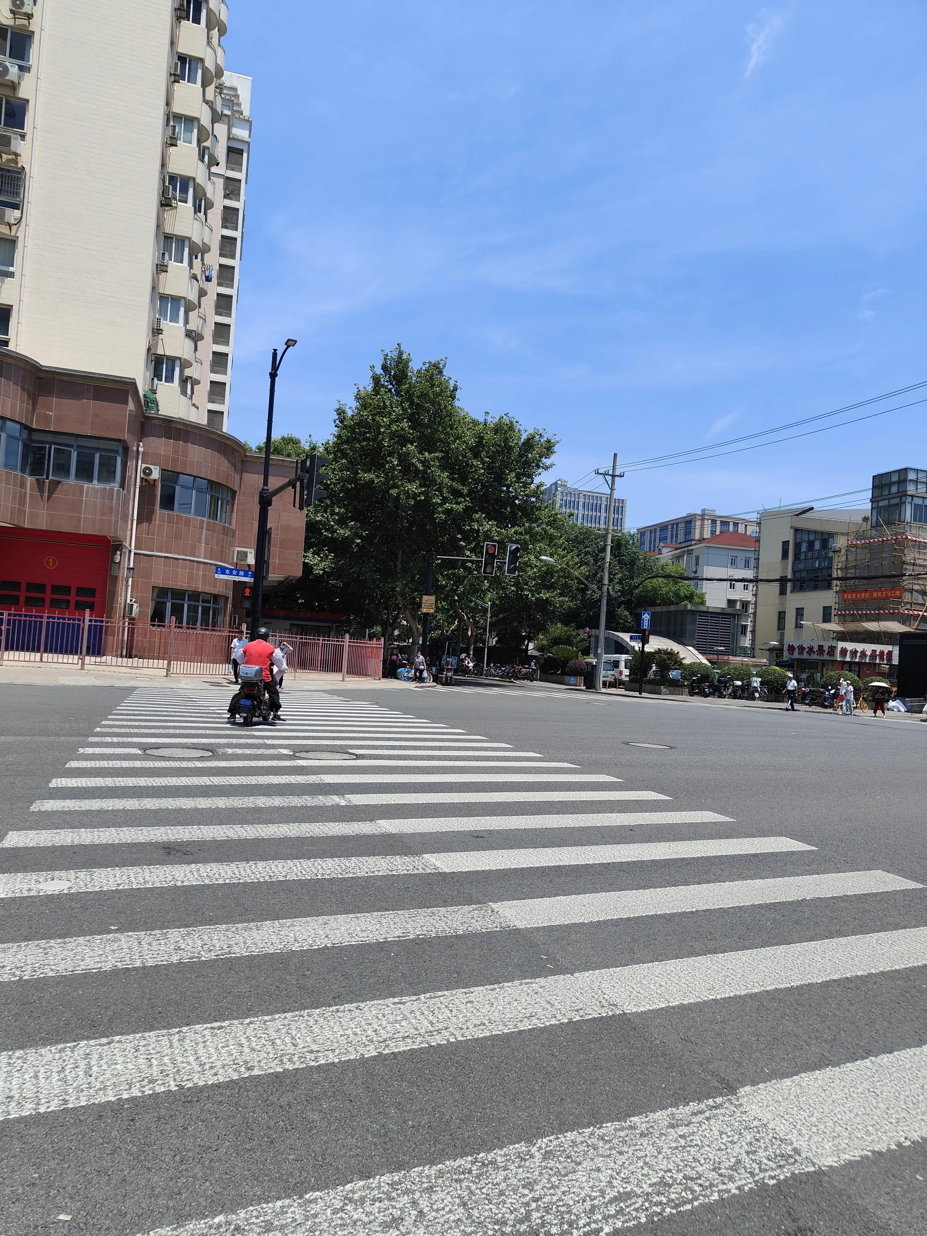 神兽暑假活动攻略之上海昆虫博物馆记