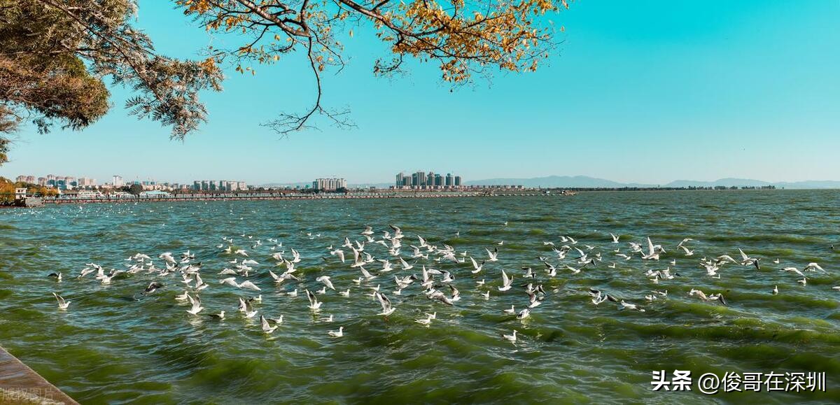 去云南丽江旅游景点,云南腾冲的旅游景点