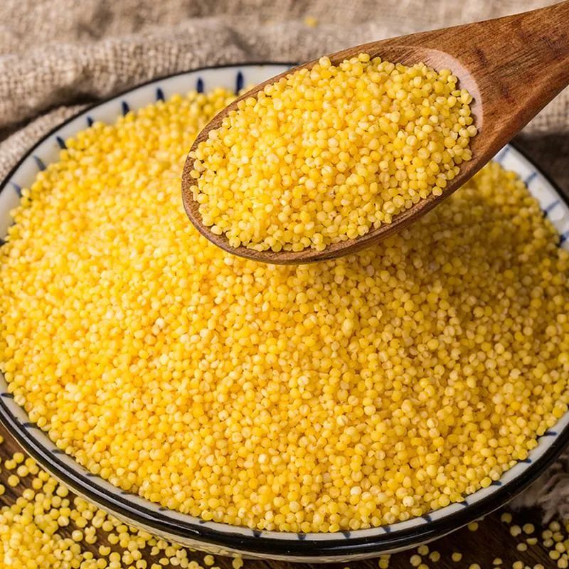 对这种糯叽叽的红薯干毫无抵抗力,拒绝不了糯叽叽的食物