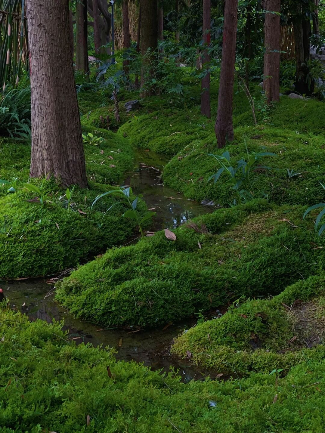 成都上新被施了魔法的“无蚊公园”!逛朋克风夜市、奇异洞穴书店