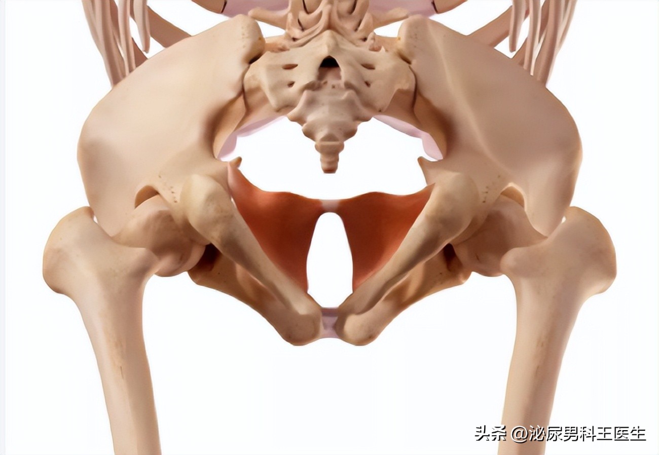 子宫脱垂是什么病？主要原因是什么？