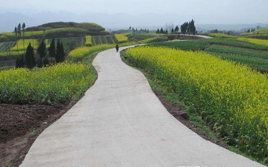 农村村村通的问题,农村修路村村通政策