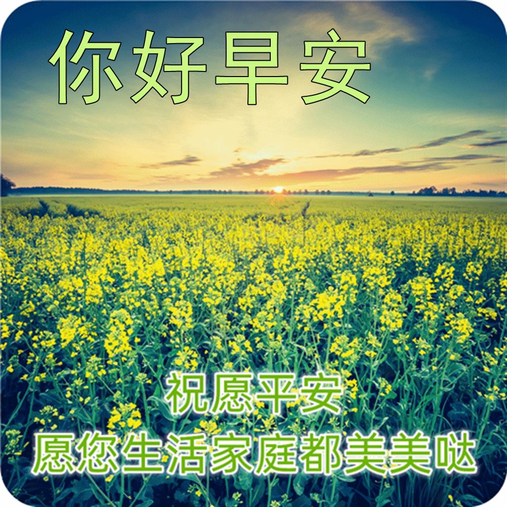 最漂亮的早安祝福图片和问候语 (2023年6月18日早上好祝福图片)