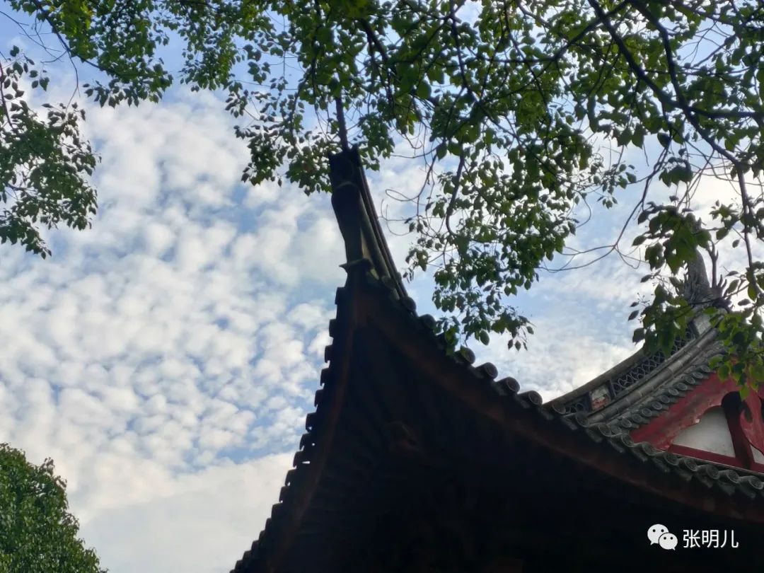 我的家乡老城古镇,我的家乡