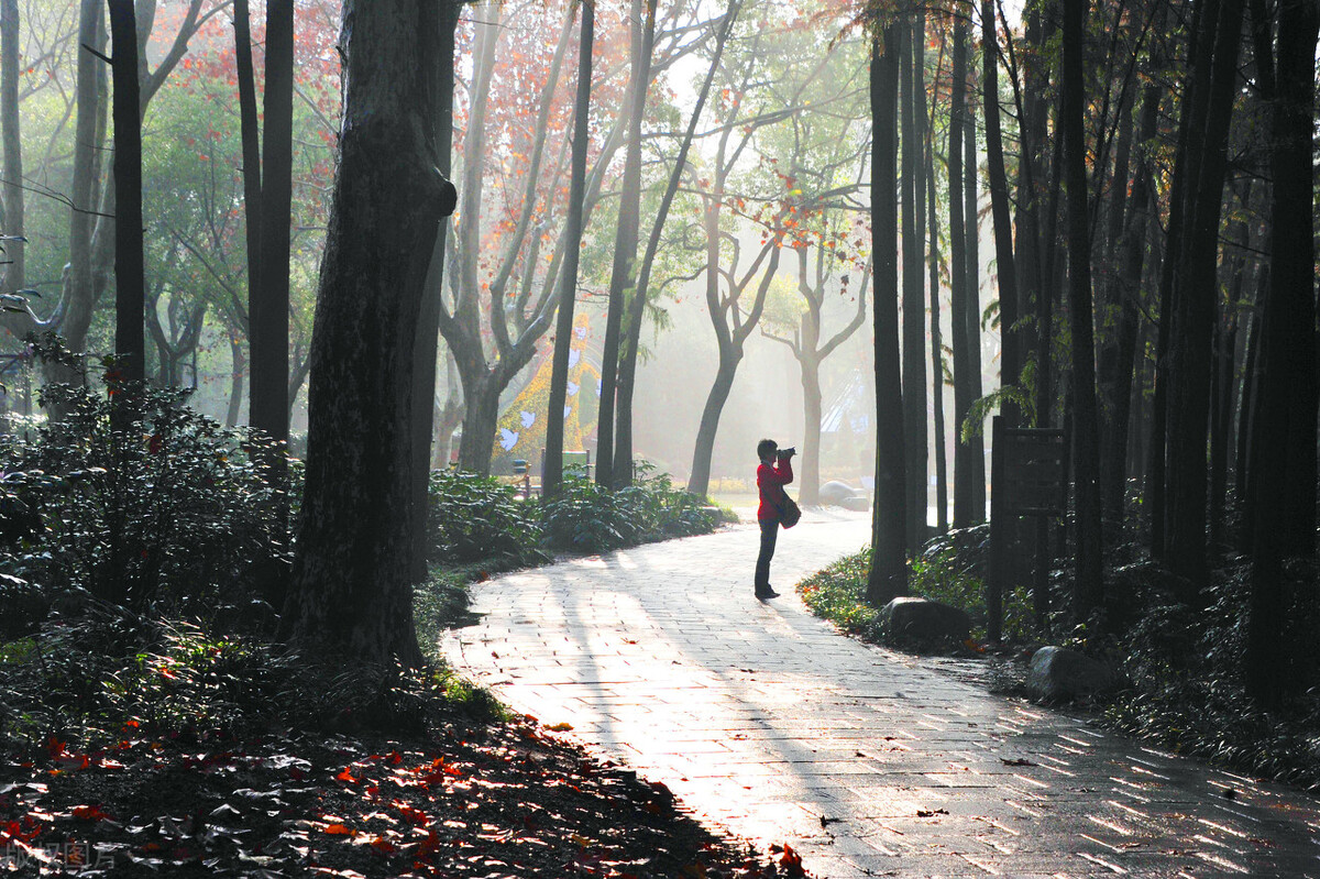 大自然的怀抱最美妙,大自然的怀抱的视频