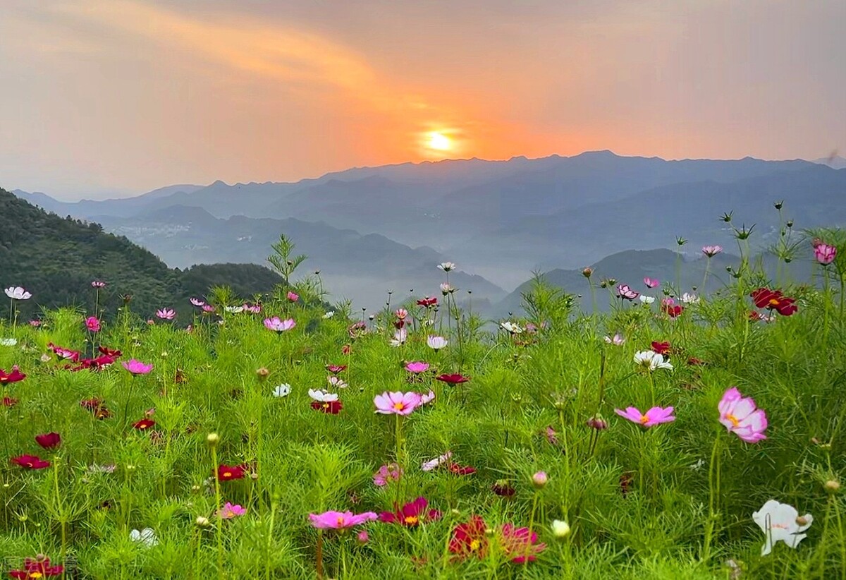 南京露营十大景点,南京秋天最美的去处露营
