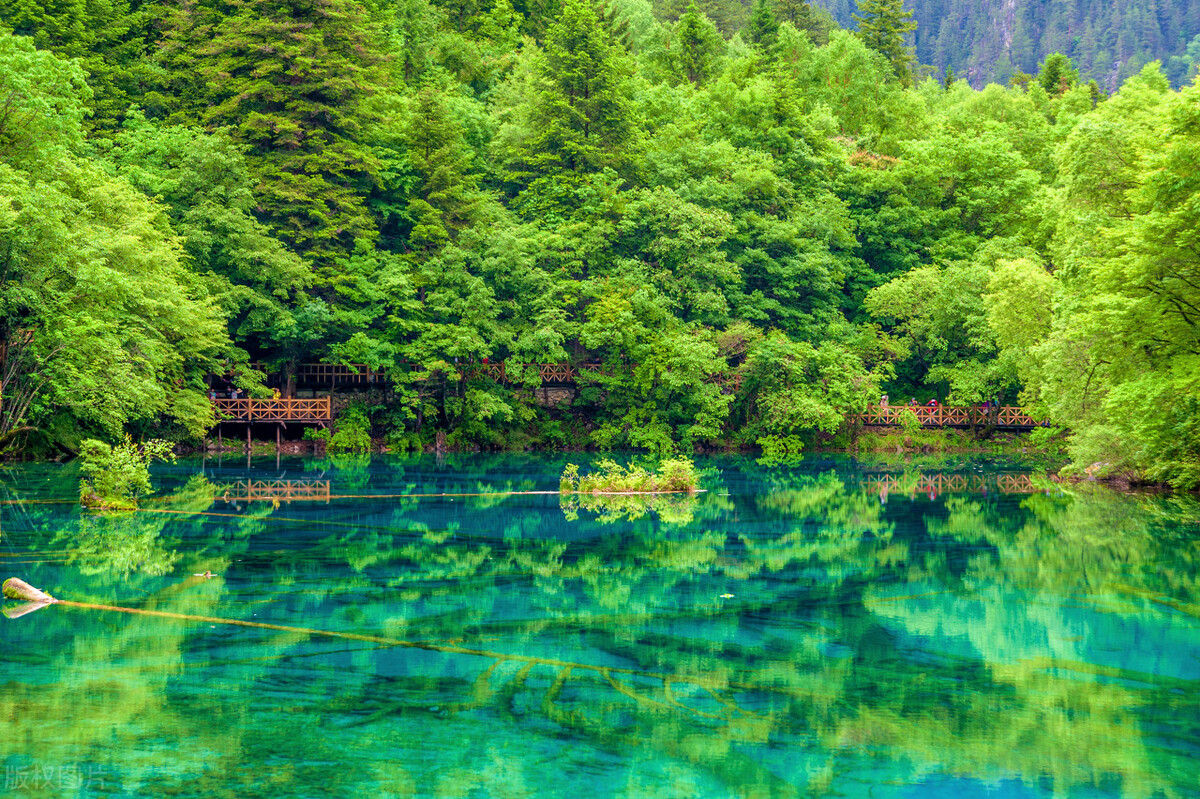 五一去九寨沟，这样安排，只需2.5天，避开拥堵，省钱还不累