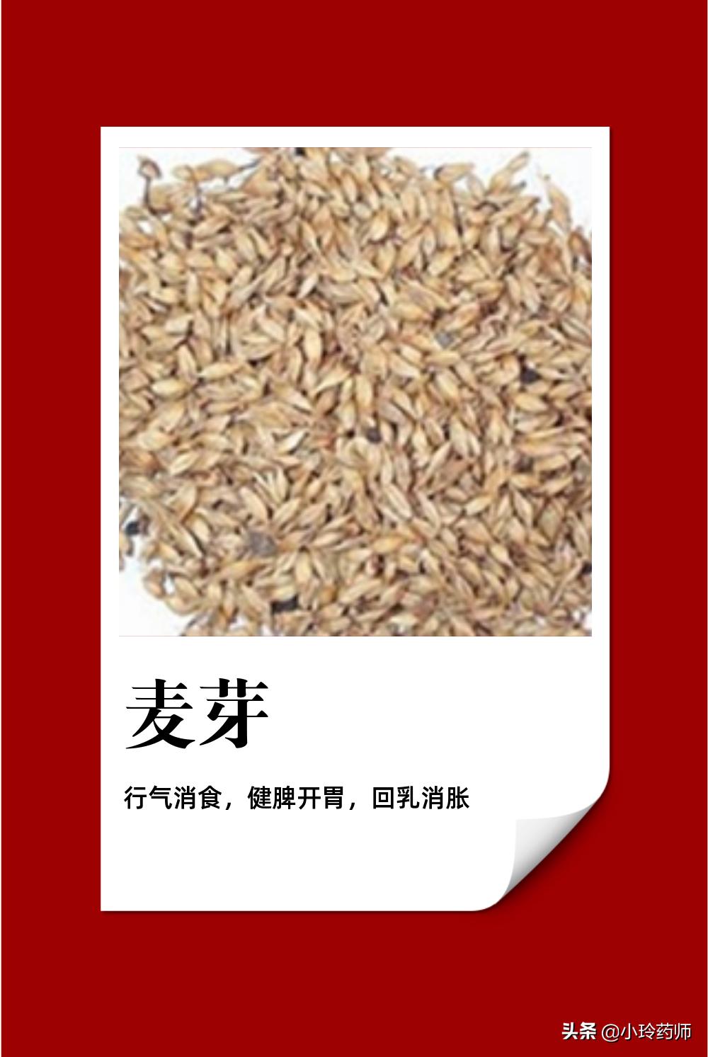 中医消食食物,消食中药药膳