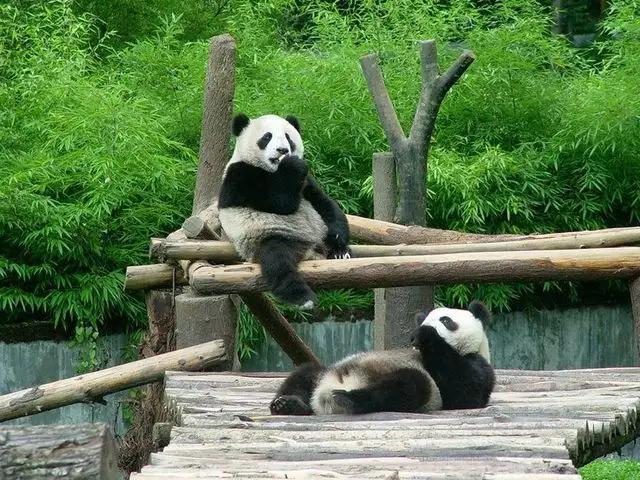 拜水都江堰问道青城山类似的话,拜水都江堰的拜水什么意思