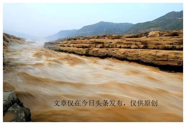 为什么老虎不吃猪肉是有原因的,老虎为啥不喂猪肉