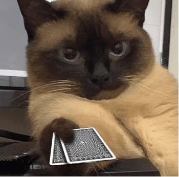 你能拿我怎样表情包自取,表情包你能拿我怎么样