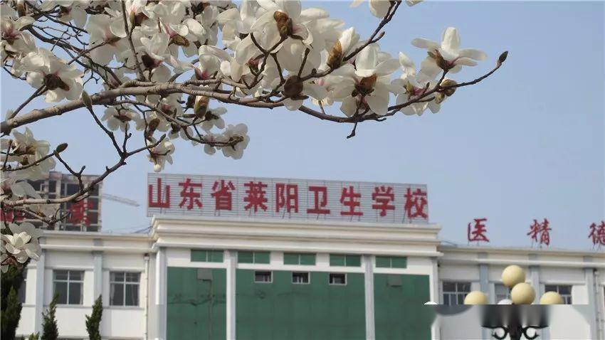 山东好的卫校排名,山东济宁卫校简介
