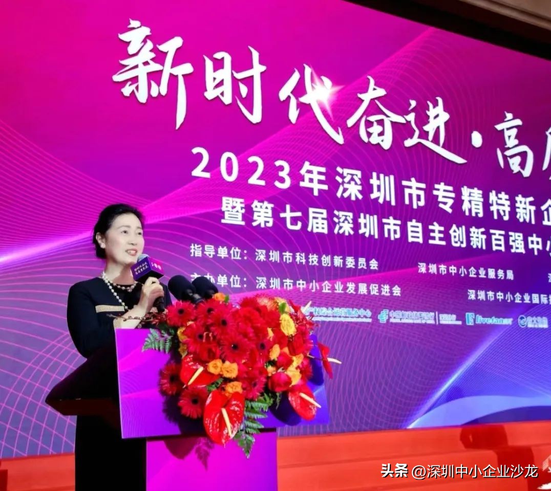 深圳专精特企业排名,深圳专精特新小巨人企业