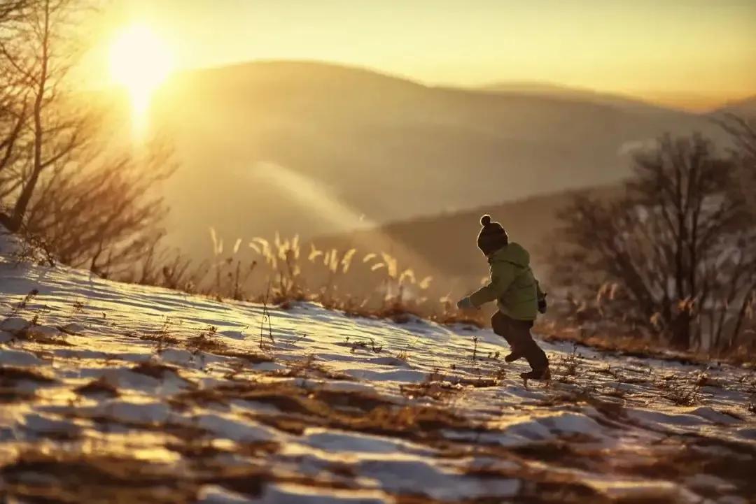 猎罪图鉴涉及到的物理知识,猎罪图鉴的研究现状及条件