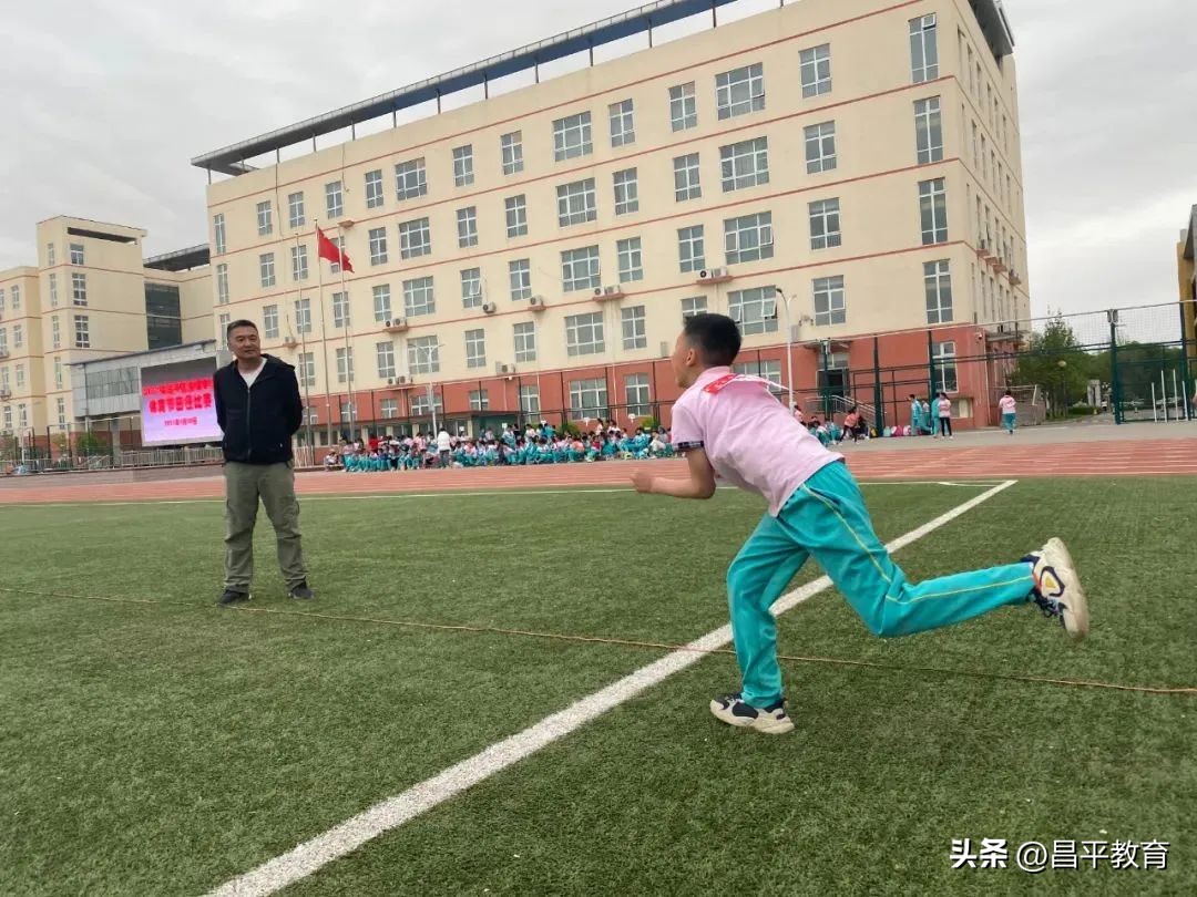 校园竞技体育的魅力,校园青春比赛