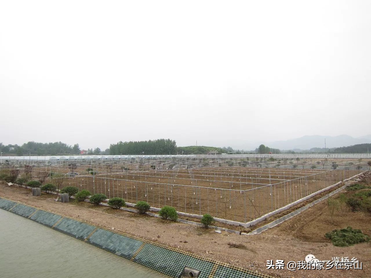 京山孙桥姬家河水库,湖北京山孙桥村