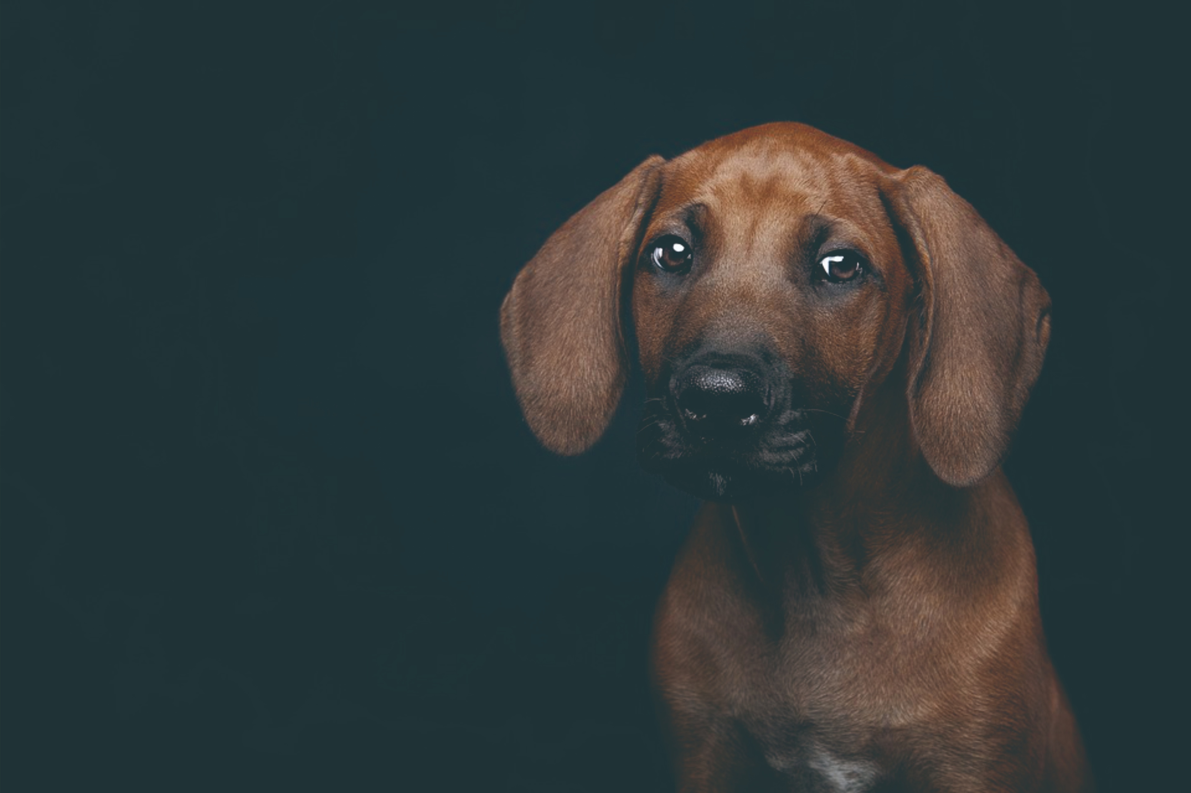如果一个人总高深莫测，他不是耍流氓，就是在想耍流氓的路上