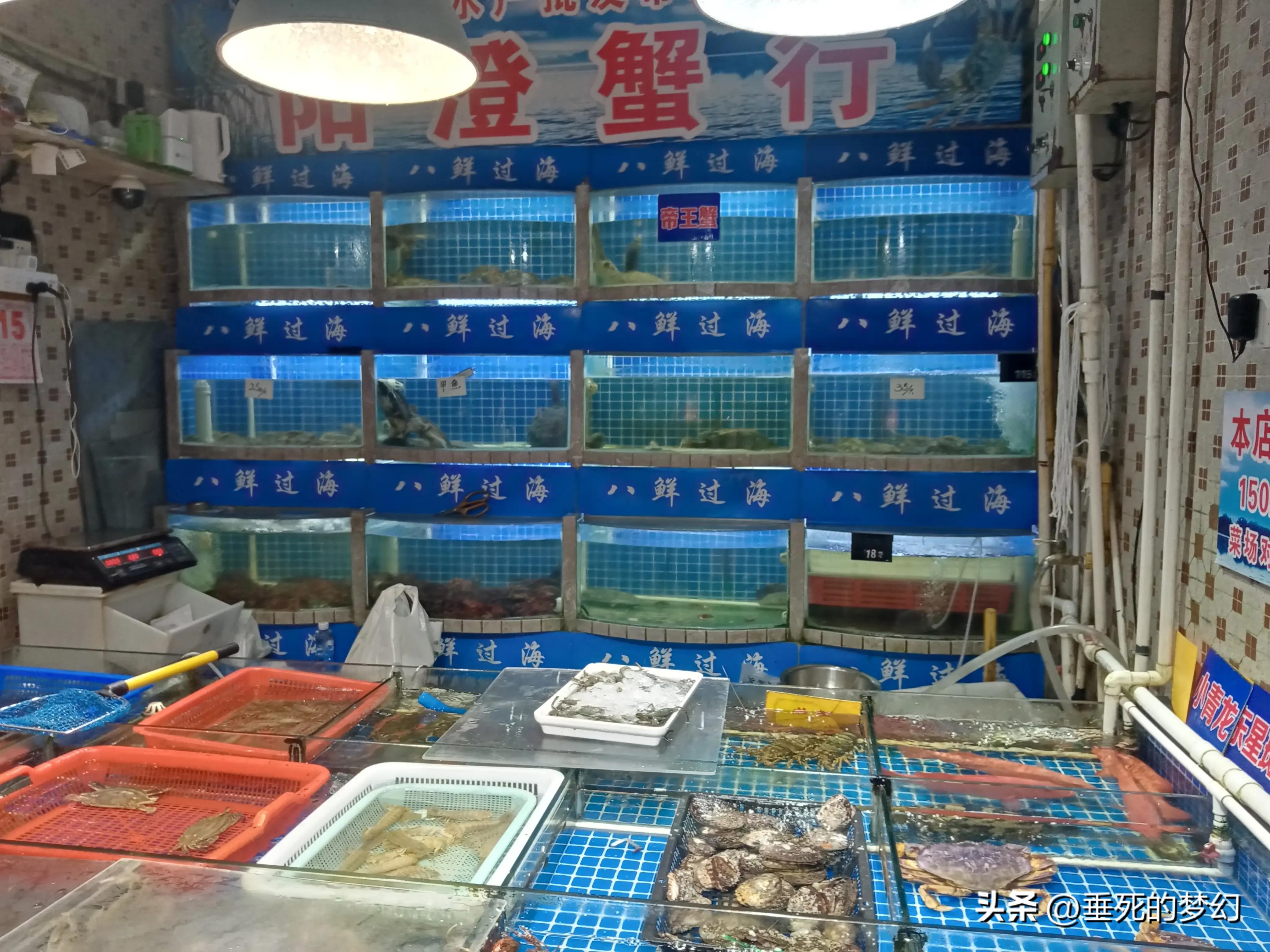 美丽的普陀,美丽普陀同心家园