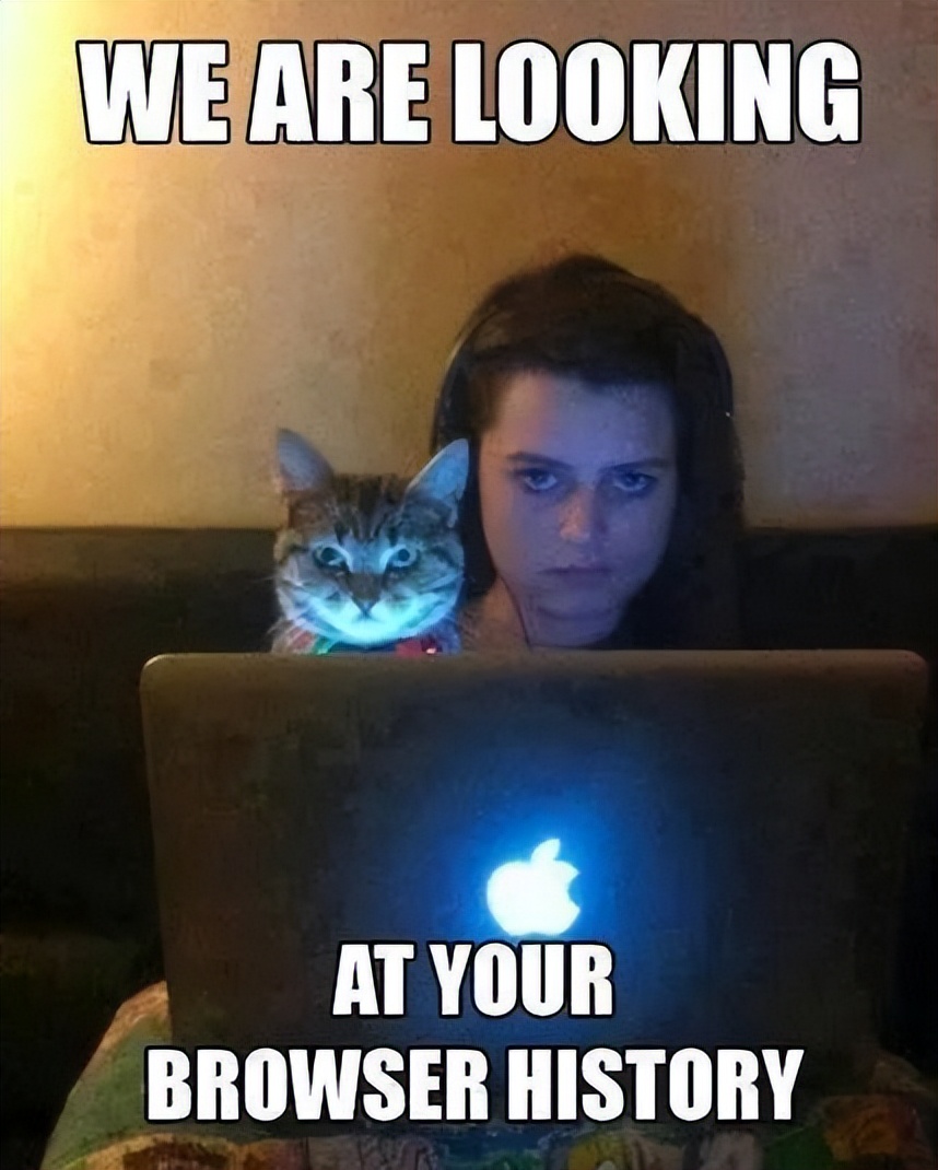 帮我删掉P站浏览记录后,他成了我最好的兄弟