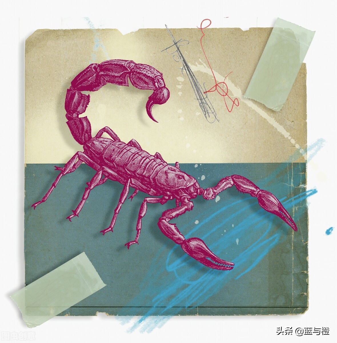 有一种倔强歌曲,有一种绝情叫做天蝎