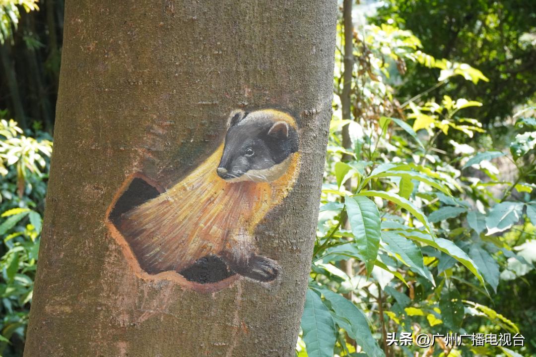 广州夏日避暑指南,广州夏日避暑胜地室内