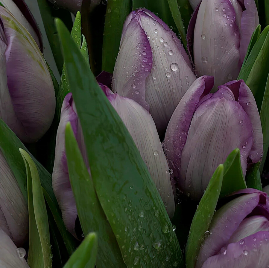 最惹不起的四大星座脾气大城府深,心思缜密能够洞悉别人内心的星座