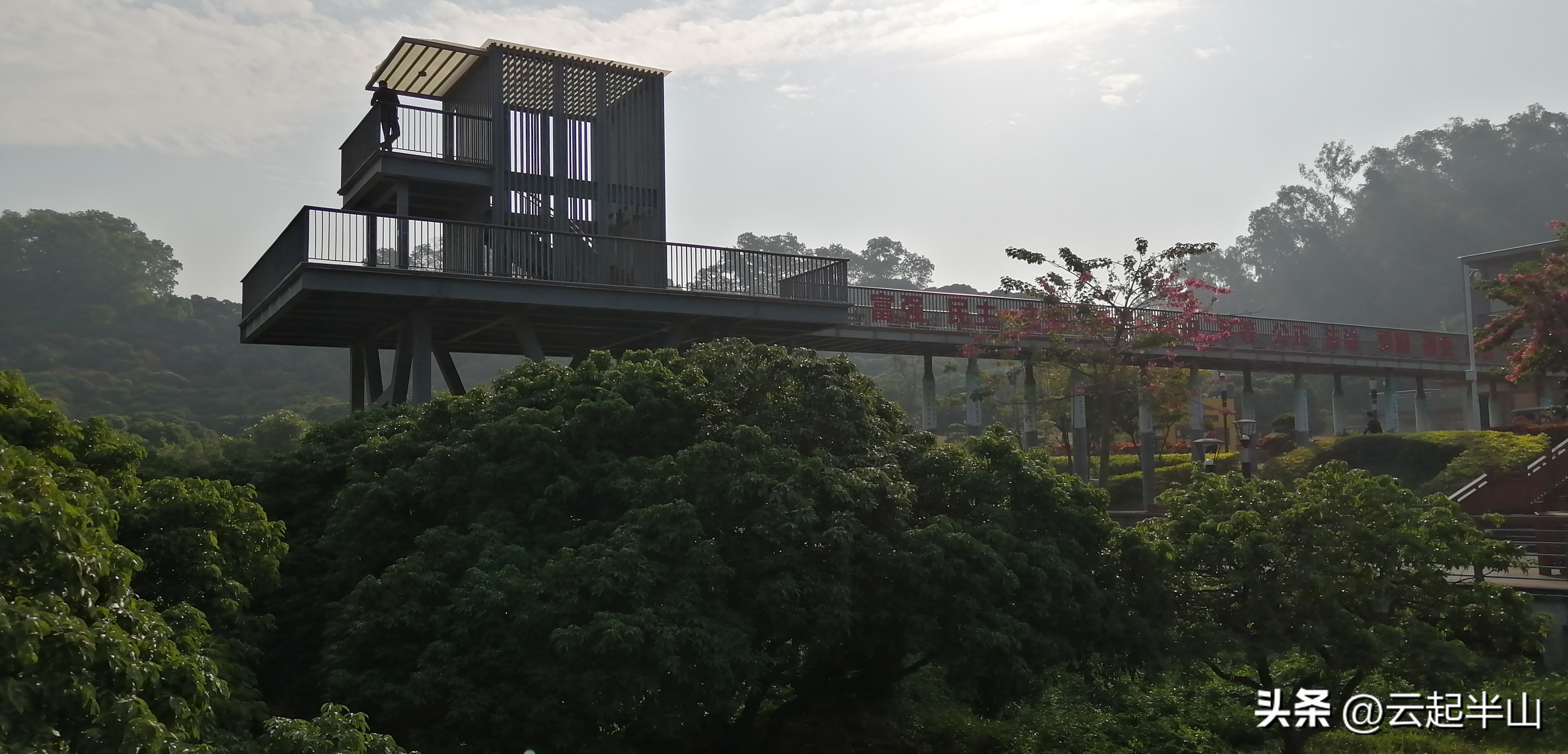 浅浅地玩、深深的圳