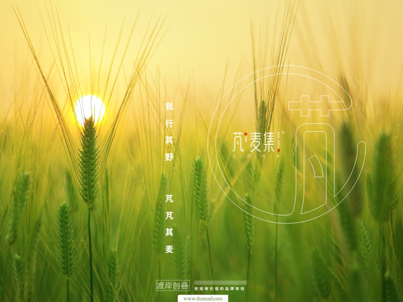 苏州市包装设计公司,南昌专业包装设计公司案例