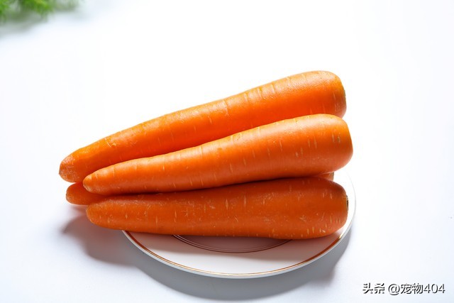 金毛在家里养总掉毛有什么好办法,穷人养3个多月的金毛最好的方法