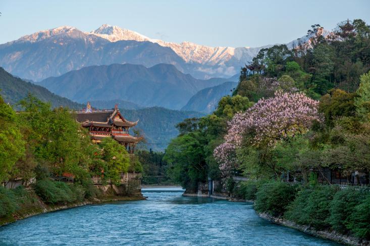 又见花开都江堰丨永丰小学孩子们眼中最美的春天……