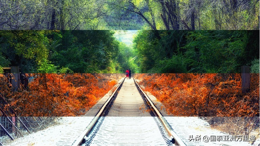 一年四季绝美风景 (关于季节性的旅游景观)