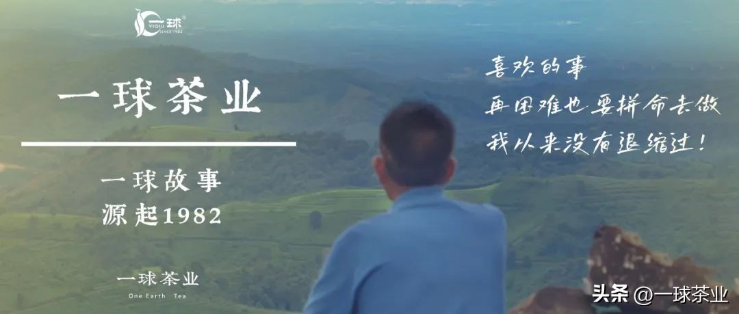 什么是普洱茶的成分,什么是普洱茶的山头