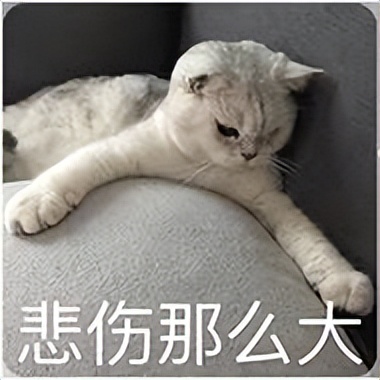 经期前综合症逍遥丸,经前期综合征吃什么逍遥丸