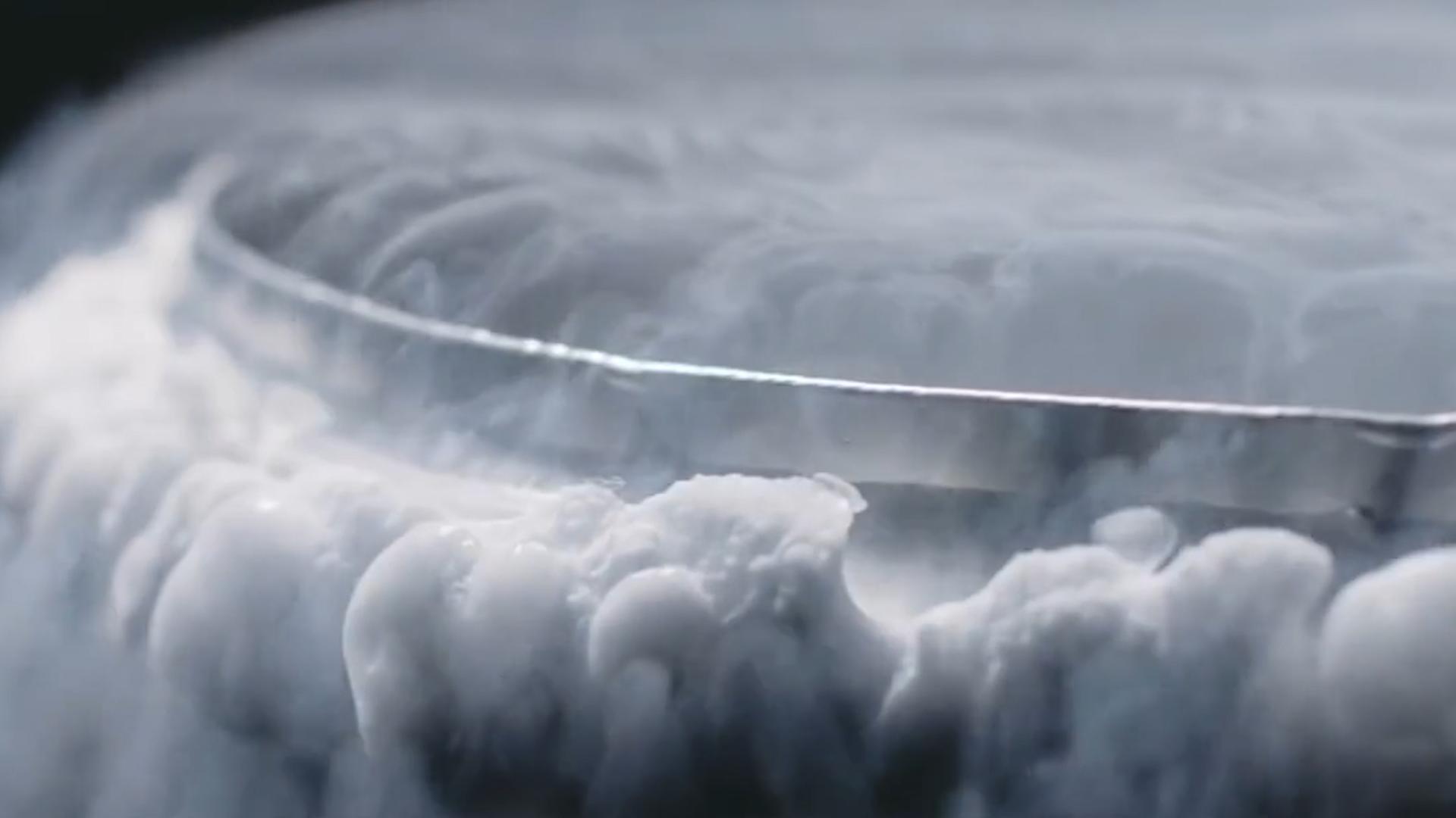 甲鱼冻成冰还能复活吗,甲鱼被冷冻后复活