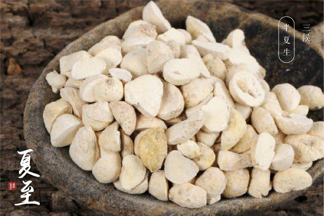 节气夏至已至向阳而生,节气夏至一切如约而至