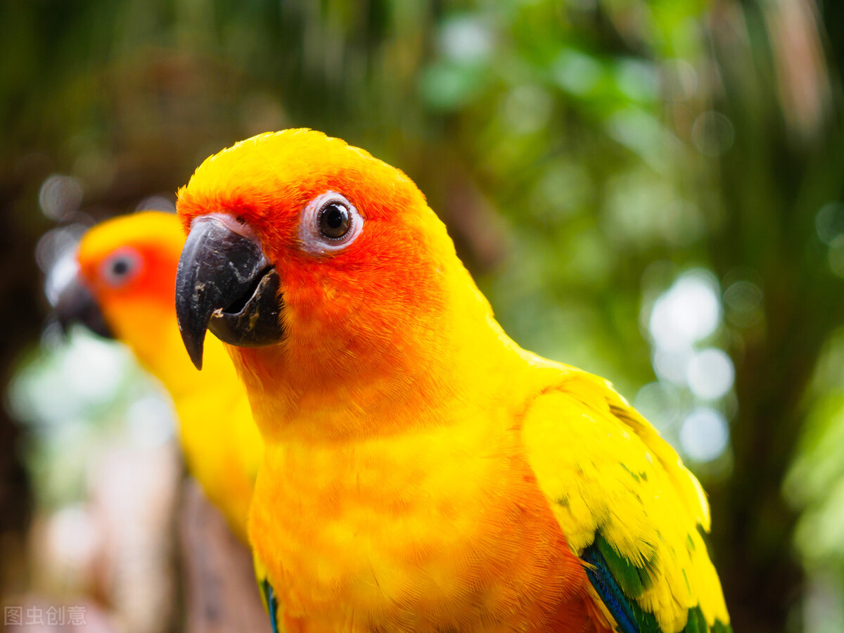 心理上如何缓解焦虑抑郁,面对心情抑郁如何接受改变