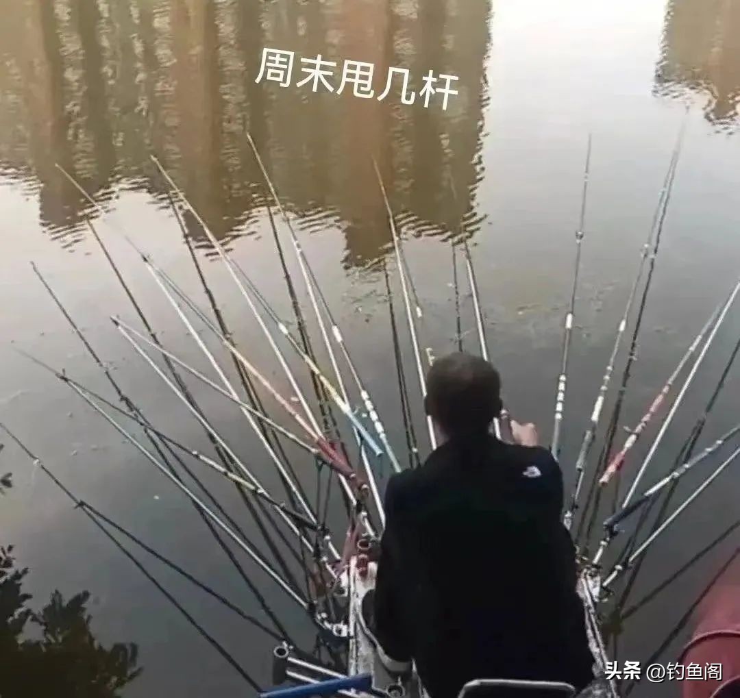 钓鱼新技巧你学会了吗,钓鱼的这几大误区钓鱼人应该知道