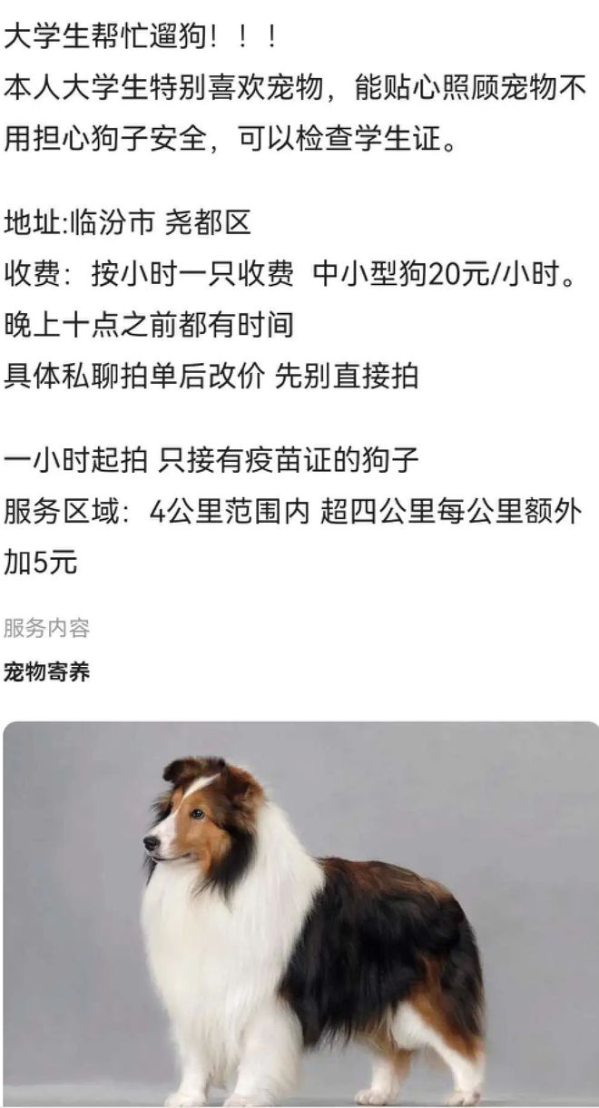 00后暑假工去哪里,暑假工推荐00后