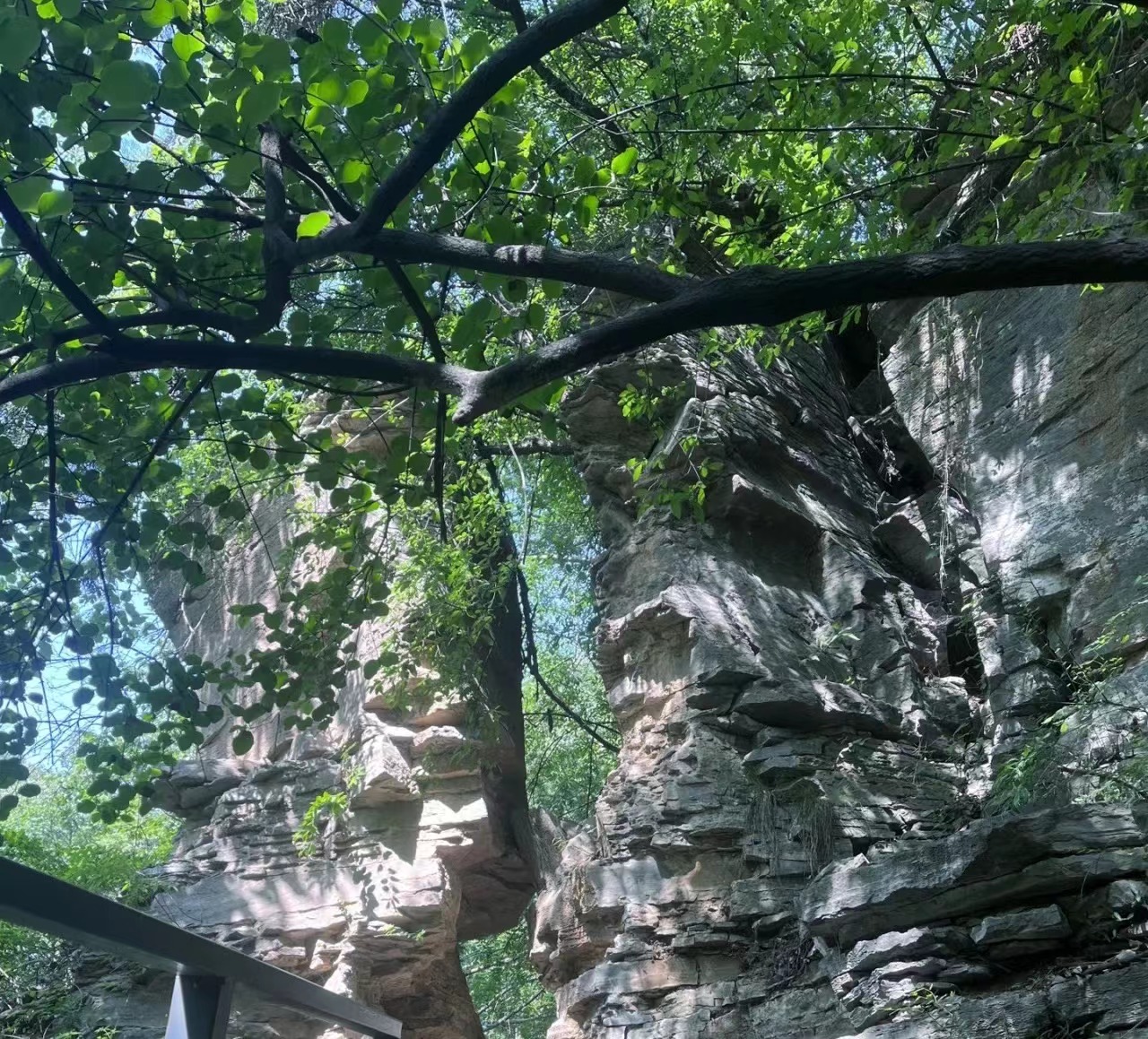 端午节郑州周边避暑游玩推荐景点,端午郑州附近游玩景点推荐一日游