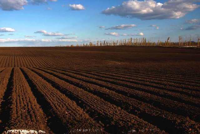 俄开放海参崴24小时，中国取消83万吨美国订单，拜登的时间不多了