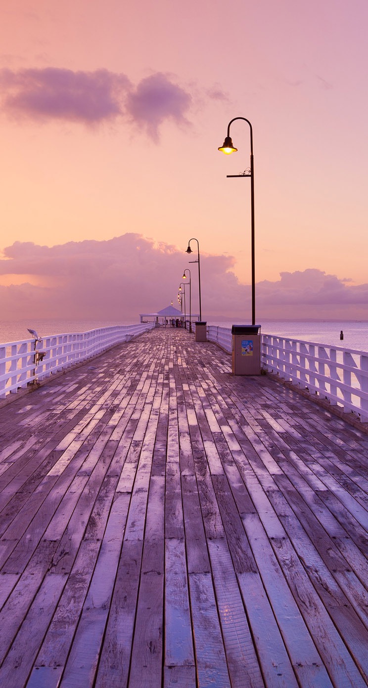 浅色壁纸高清图片花,超仙闺蜜壁纸动漫紫色和粉色
