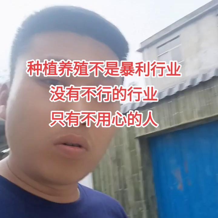 养殖创业哪个行业最好,做生意养什么比较好