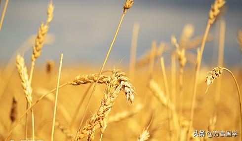 往往深藏不露的人才是最后的赢家,不聪明的人就该放弃人生吗