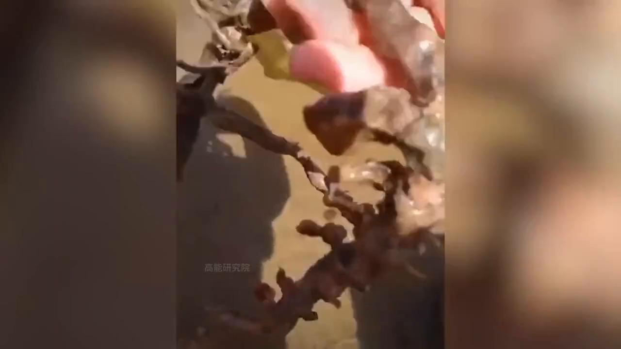 喷奶的牛？会隐身的大山？8个让你匪夷所思的瞬间！#离奇事件