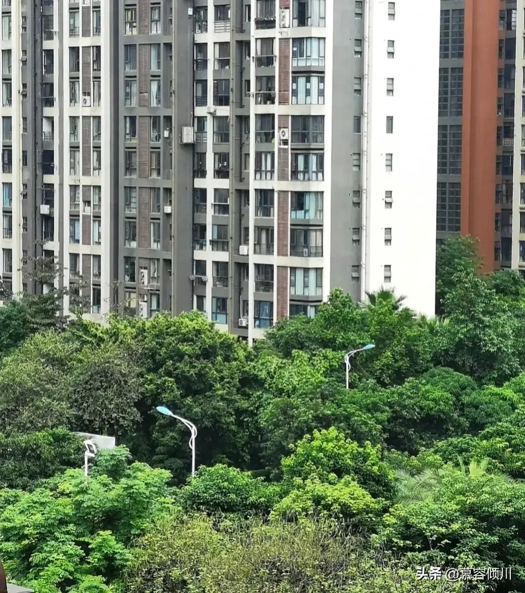 住了4年2楼，我太崩溃了！痛定思痛，再买房，绝对不考虑低层了！